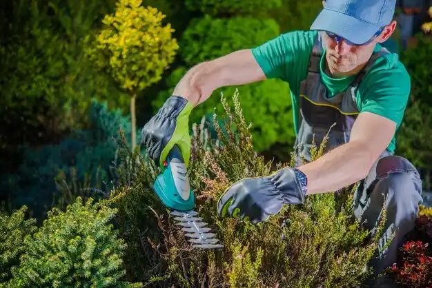 landscaping services Marlette